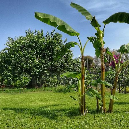 B&B Tifeo วิลลาฟรังกา ติร์เรนา ภายนอก รูปภาพ